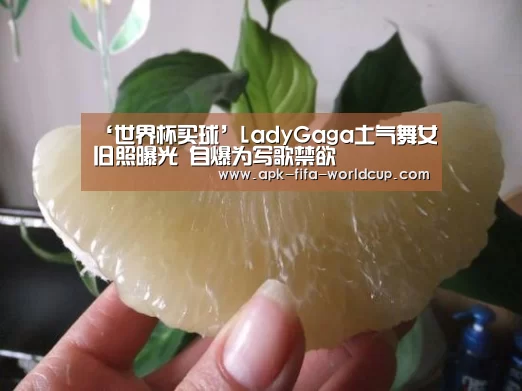 ‘世界杯买球’LadyGaga土气舞女旧照曝光 自爆为写歌禁欲